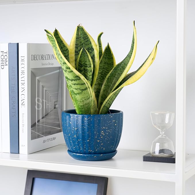 4/5/6 Inches Ceramic Plant Pots with Drainage Holes and Saucers, Round Flower Pots for Indoor Plant, Modern Flower Planters Set of 3 (Blue with Dot-Big Size)-CasaMuseHome