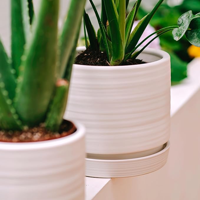 8 Inch Pots for Plants, Ceramic Planter Pot with Drainage Hole & Saucer, Indoor/Outdoor Cylinder Round Planter Pot, Matte White-CasaMuseHome