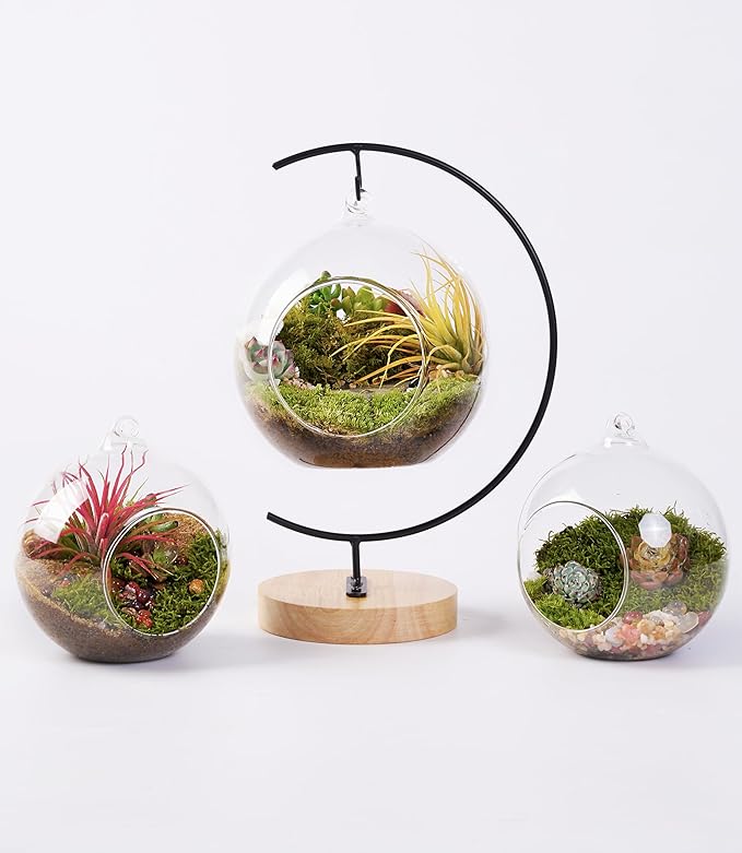 15-Piece Terrarium Kit with Live Moss – DIY Glass Globe Set with Tools, Soil, Stones & Spray Bottle – Indoor Mini Garden Gift for Plant Lovers, Home Decor & Zen Craft-CasaMuseHome