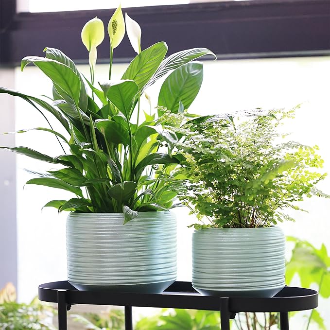 8 Inch + 6 Inch Ceramic Plant Pots Indoor with Drainage – Flower Pot Set, Decorative Indoor Planters for House Plants and Garden Use-CasaMuseHome