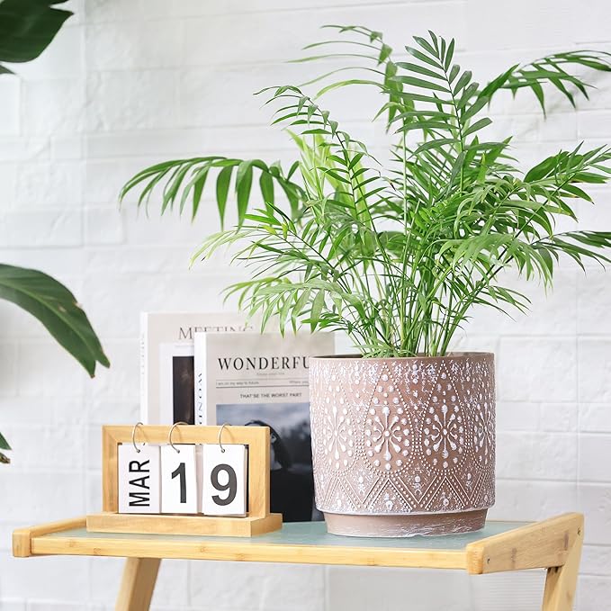 8 Inch + 6 Inch Plant Pot with Drainage Holes and Saucers, Indoor Ceramic Planter for Plants Succulent Orchid Flower Pots-CasaMuseHome