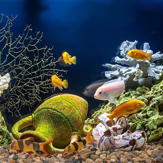 2.5 lbs Drainage Rocks for Potted Plants, 1/5 Inch Small Pebbles for Indoor Plants, Decorative Gravel for Vases, Bamboo, Succulent, Terrarium, Crafts, Cactus-CasaMuseHome