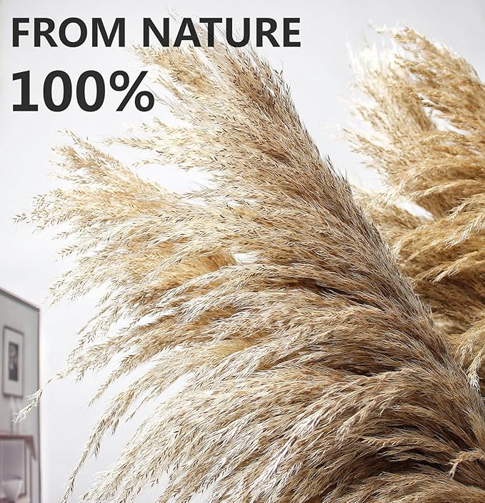 40" inch 10 Stems Pampas Grass Decor Tall, Pampas Grass Bouquet, Natural Dried Flowers for Wedding, Natural Home Decor, Wall Grass, Glam Decor-CasaMuseHome