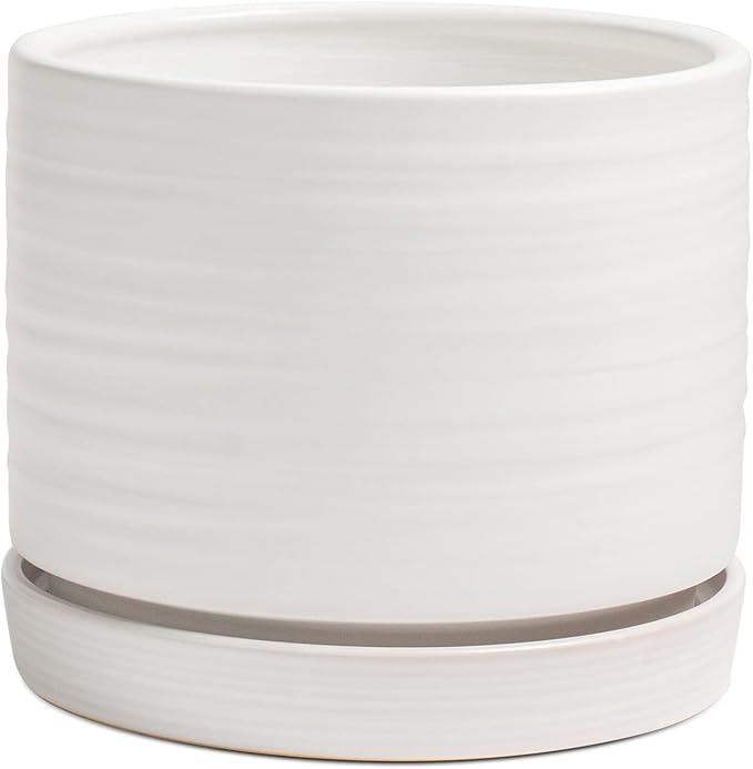 8 Inch Pots for Plants, Ceramic Planter Pot with Drainage Hole & Saucer, Indoor/Outdoor Cylinder Round Planter Pot, Matte White-CasaMuseHome