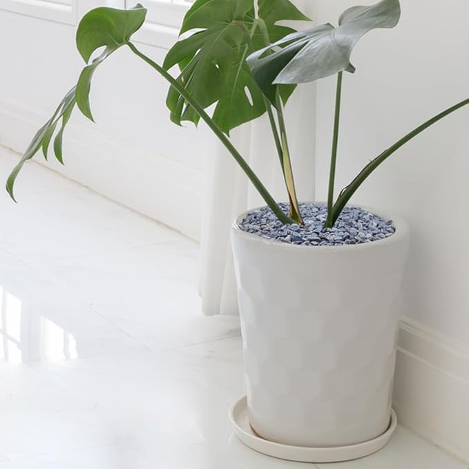 10LB Succulent and Cactus Gravel, 1/5 Inch Natural Decorative Polished Pebbles for Landscaping, Grey River Rocks for Plants, Vases, Aquariums, Terrarium and Outdoor Gardening-CasaMuseHome