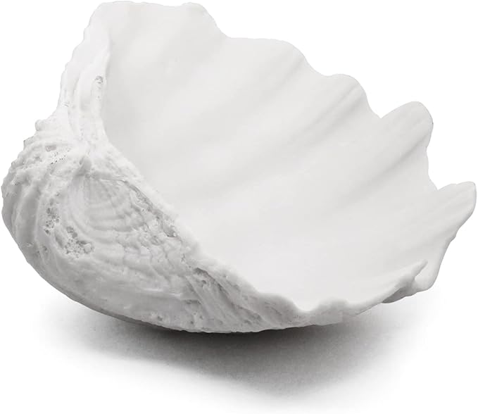 Accessoryway Large White Sea Shells Decorative Bowl Resin Clam Shell Bowl Beach Decorations for Home Coastal Beach Decor Decoration Storage Bowls & Home Office Nautical Themed Party Decor -10.2"-1PC-CasaMuseHome