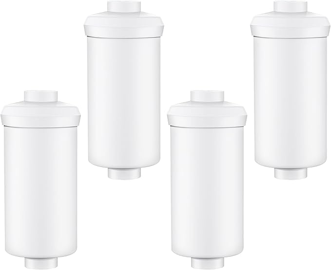 4 Pack Fluoride Water Filter,Replacement for PF-2® Fluoride Filters, Fluoride and Arsenic Filter Compatible with Berkey Gravity Filtration System、 Big、 Travel、 Royal、Imperial and Crown Series-CasaMuseHome