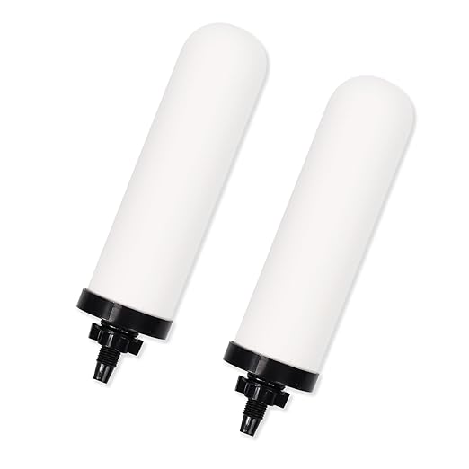 2 PCS 7 inch ceramic water filter Candle,7'' water filter replacement filters with Activated Carbon for Countertop Gravity Water Filter System,Water Cooler Filtration Systems-CasaMuseHome
