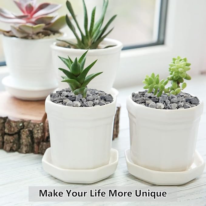 5LB Succulent and Cactus Gravel Pebbles, 1/5 Inch Natural Decorative Polished Stones, River Rocks for Plants, Vases, Aquariums, Terrarium and Outdoor Gardening,Grey-CasaMuseHome