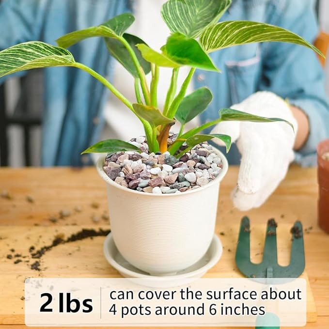 2LB Succulent and Cactus Gravel Pebbles, 1/5 Inch Natural Decorative Polished Stones, River Rocks for Vases Gardening Indoor and Outdoor Decorative Rocks, Colorful-CasaMuseHome