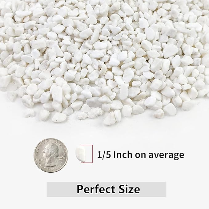 2LB Succulent and Cactus Gravel Pebbles, 1/5 Inch White Natural Decorative Polished Stones, River Rocks for Plants, Vases, Aquariums, Terrarium and Outdoor Gardening,White-CasaMuseHome