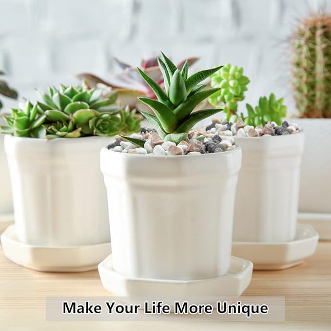 10LB Succulent and Cactus Gravel Pebbles, 1/5 Inch Natural Decorative Polished Stones, River Rocks for Plants, Vases, Aquariums, Terrarium and Outdoor Gardening,Mixed Color-CasaMuseHome