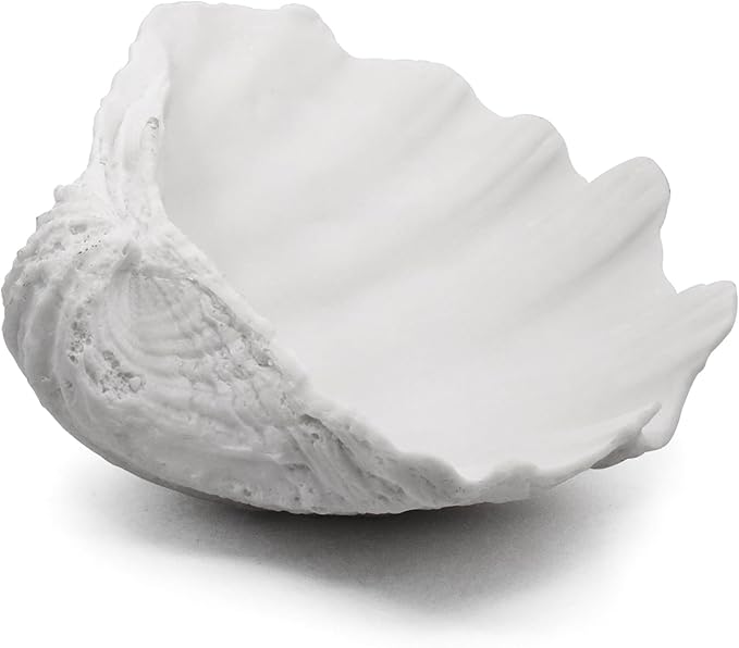 Accessoryway Extra Large Clam Shells Decorative Bowl-White Sea Shells Decorative Storage Bowls for Coastal Beach theme house table centerpiece decorations & Nautical decor for coffee table-12.4"-1PC-CasaMuseHome