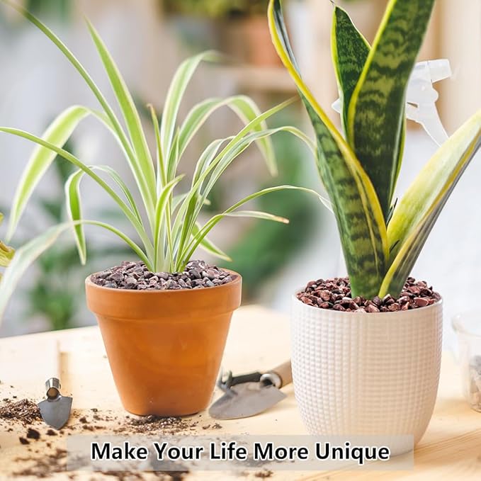 2LB Succulent and Cactus Gravel Pebbles, 1/5 Inch Natural Decorative Polished Stones, River Rocks for Vases Gardening Indoor and Outdoor Decorative Rocks, Red-CasaMuseHome