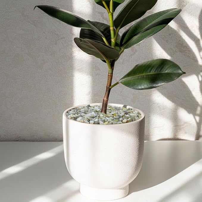 10LB Succulent and Cactus Pebbles, 1/5 Inch Jade Natural Decorative Polished Stones, River Rocks for Plants, Vases and Outdoor Gardening,Green-CasaMuseHome