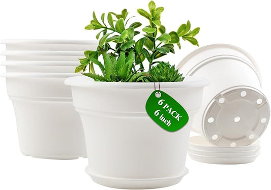 6 Inch Plastic-Flower Pot-for-Indoor Plants, 6 Pack Outdoor Plant Pots with Drainage Holes & Saucers, Resin Garden Pots Planters-CasaMuseHome