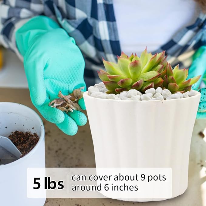 5LB Succulent and Cactus Gravel Pebbles, 1/5 Inch White Natural Decorative Polished Stones, River Rocks for Plants, Vases, Aquariums, Terrarium and Outdoor Gardening-CasaMuseHome