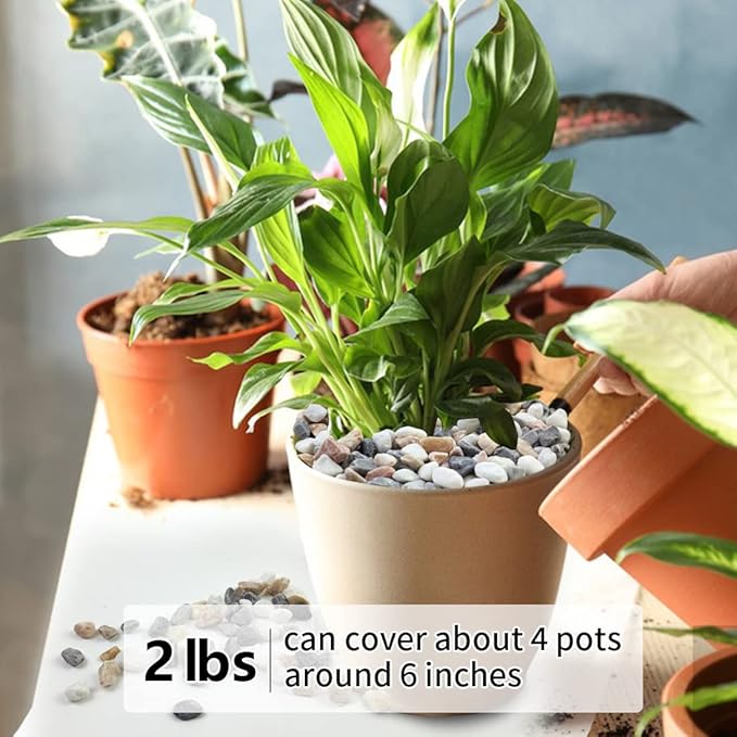 2LB Succulent and Cactus Gravel Pebbles, 1/5 Inch Natural Decorative Polished Stones, River Rocks for Vases, Aquariums, Terrarium and Outdoor Gardening, Mixed Color-CasaMuseHome