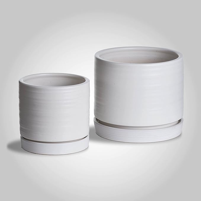 6 + 8 Inch Plant Pots, Ceramic Planter Pot with Drainage Hole & Saucer, Indoor/Outdoor Cylinder Round Planter Pot, Matte White-CasaMuseHome