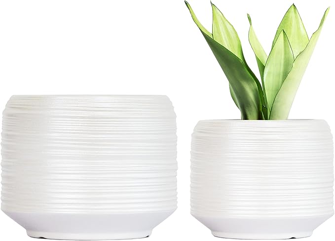 8 Inch + 6 Inch Ceramic Plant Pots Indoor with Drainage – Flower Pot Set, Decorative Indoor Planters for House Plants and Garden Use-CasaMuseHome