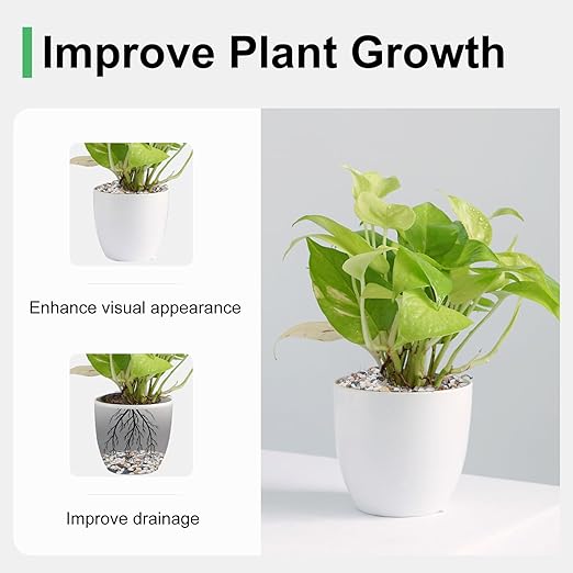 5 lbs Small Rocks for Plants, 1/5 Inch Pebbles for Indoor Plants, Natural Decorative Pea Gravel for Aquarium, Fish Tank, Terrarium, Succulents, Bamboo Plants, Vases, Cactus, Crafts-CasaMuseHome