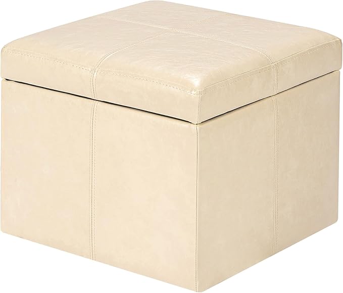 Adeco Storage Ottoman-CasaMuseHome