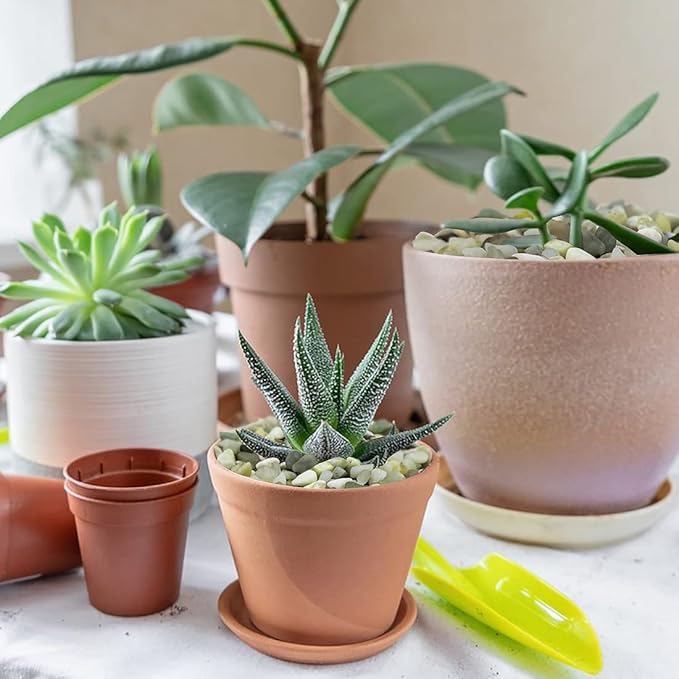 2LB Succulent and Cactus Pebbles, 1/5 Inch Jade Natural Decorative Polished Stones, River Rocks for for Indoor Plants, Vases, Planters and Outdoor Gardening-CasaMuseHome