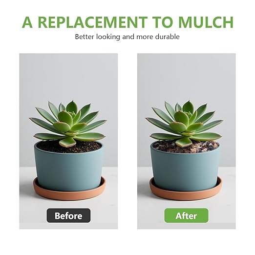 5lbs Small Rocks for Terrarium, Planters Drainage, 1/5 Inch Lava Rock for Bonsai Tree, Decorative Gravel for Succulents, Bamboo, Cactus, Mixed Color-CasaMuseHome