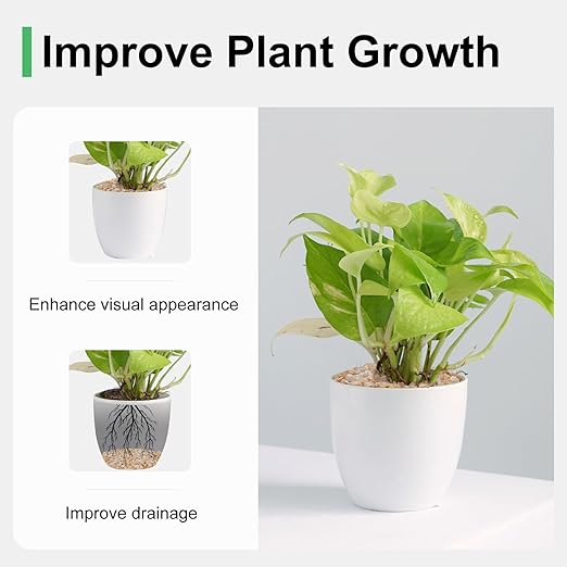 5 lbs Coarse Silica Sand for Indoor Plants, 1/5 Inch Natural Decorative Gravel for Vases, Aquariums, Terrarium, Fish Tank, Drainage Rocks for Potted Plants, Bamboo, Succulent, Crafts, Cactus-CasaMuseHome