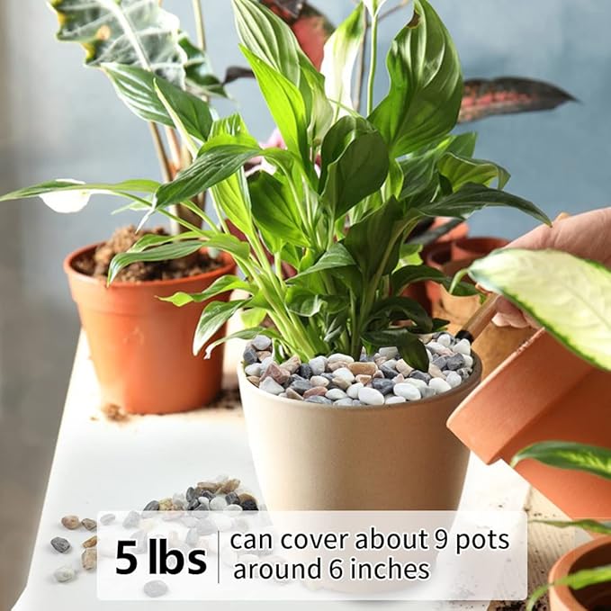 5LBS Succulent and Cactus Gravel Pebbles, 1/5 Inch Natural Decorative Polished Stones, River Rocks for Vases, Aquariums, Terrarium and Outdoor Gardening, Mixed Color-CasaMuseHome