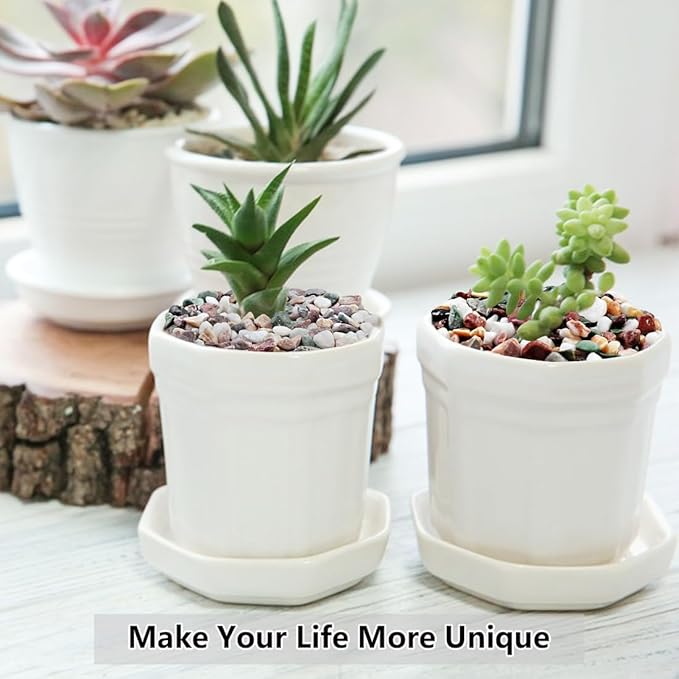 5LB Succulent and Cactus Gravel Pebbles, 1/5 Inch Natural Decorative Polished Stones, River Rocks for Vases Gardening Indoor and Outdoor Decorative Rocks, Colorful-CasaMuseHome