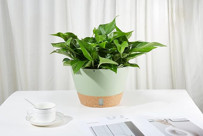 2 Pack Hanging Planters, 10 inch Indoor Outdoor Hanging Plant Pot Basket, Hanging Plastic Flower Pot with Drainage Hole with Removable Tray&Hooks for Hanging Plants,Green-CasaMuseHome