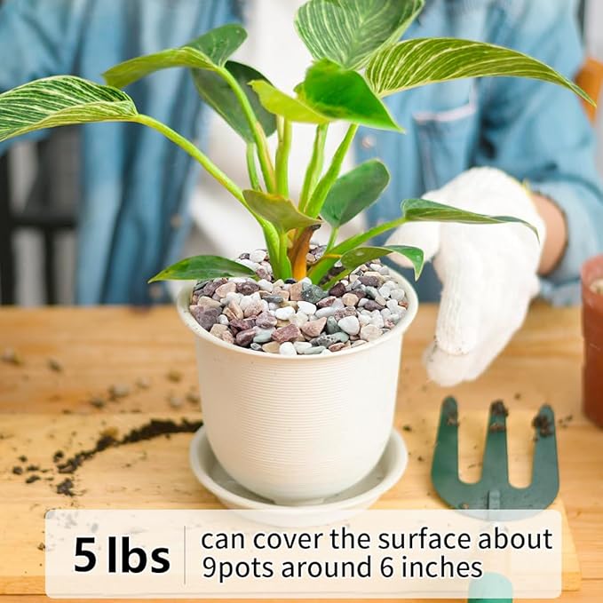 5LB Succulent and Cactus Gravel Pebbles, 1/5 Inch Natural Decorative Polished Stones, River Rocks for Vases Gardening Indoor and Outdoor Decorative Rocks, Colorful-CasaMuseHome