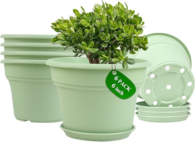 6 Inch Plastic-Flower Pot-for-Indoor Plants, 6 Pack Outdoor Plant Pots with Drainage Holes & Saucers, Resin Garden Pots Planters-CasaMuseHome