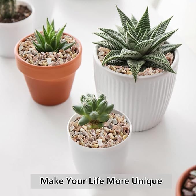 2LB Succulent and Cactus Gravel Pebbles, 1/5 Inch Natural Decorative Polished Stones, River Rocks for Plants, Vases, Aquariums, Terrarium and Outdoor Gardening,Peach-CasaMuseHome