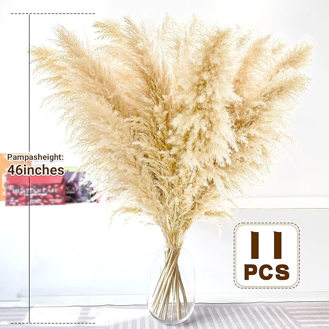 46" inch 11 Stems Natural Pampas Grass Tall Decor,Pompas Grass,Large Beige Tall Pampas Grass for Floor Vase,Wedding Decorations,Party,Boho Home Decor,and Creating a Boho Ambiance-CasaMuseHome