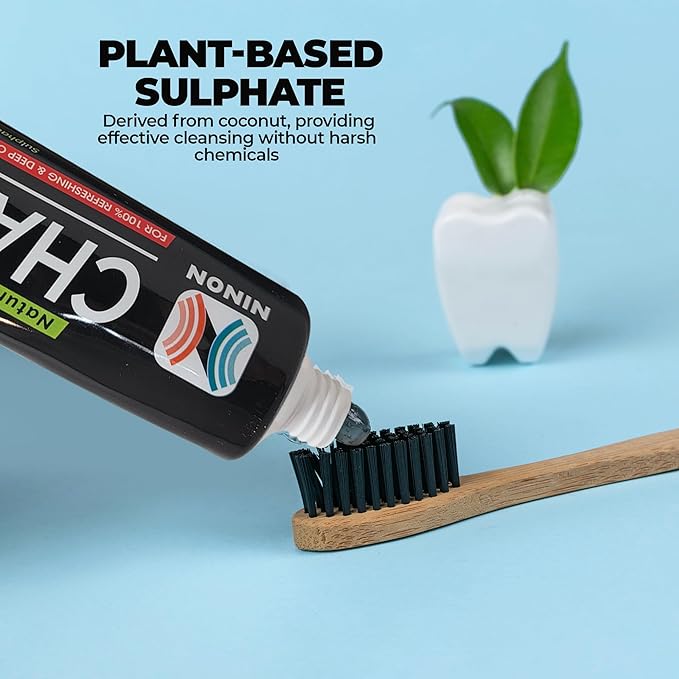 Activated Charcoal Whitening Toothpaste, Fluoride-Free, Enamel-Safe, Natural Mint Flavor, 6.5oz Tube for Stain Removal and Fresh Breath Pack of 1-CasaMuseHome