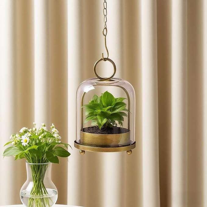 5"x7.5" Versatile Modern Metal Hurricane Lantern with Handmade Sturdy Glass Dome for 3" Pillar Candle & Plants (Brass, 5"x7.5" for 3" Pillar)-CasaMuseHome