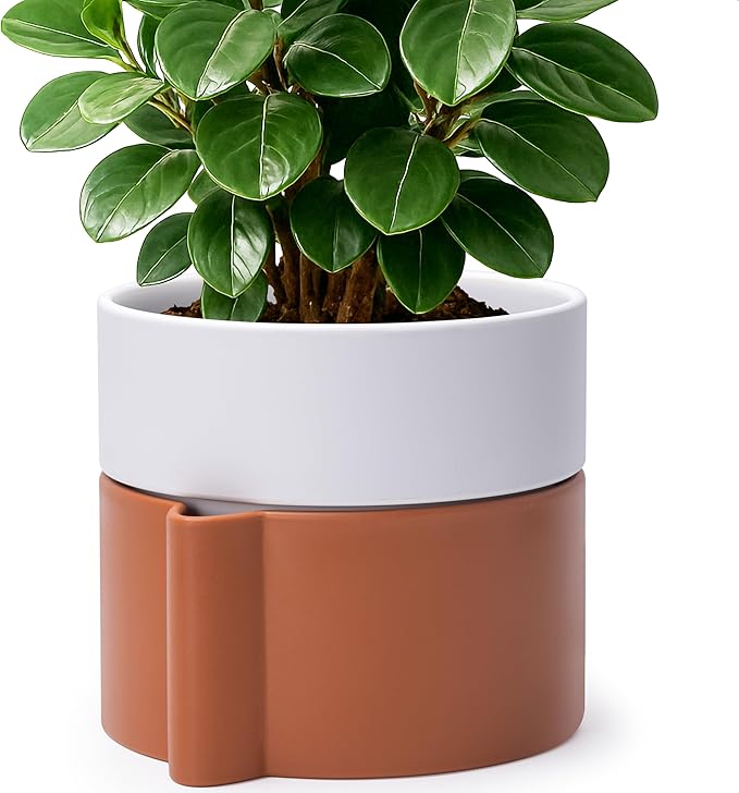 8 Inch Self-Watering Planter Pot with Terracotta Insert, Deep Water Reservoir, and Ceramic-Alike BPA-Free Plastic Planter Pot for Plant, Modern Planter for Houseplants, Terracotta/White, 53-B-T-6-CasaMuseHome