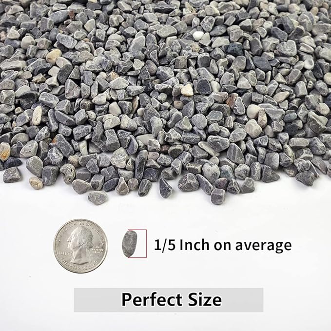 5LB Succulent and Cactus Gravel Pebbles, 1/5 Inch Natural Decorative Polished Stones, River Rocks for Plants, Vases, Aquariums, Terrarium and Outdoor Gardening,Grey-CasaMuseHome