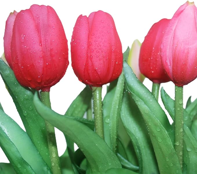 15pcs Artificial Tulips Flowers, Fake Tulips Real Touch, Faux Latex Bouquets, for Party Wedding Home Room Decoration (Rose Red)-CasaMuseHome