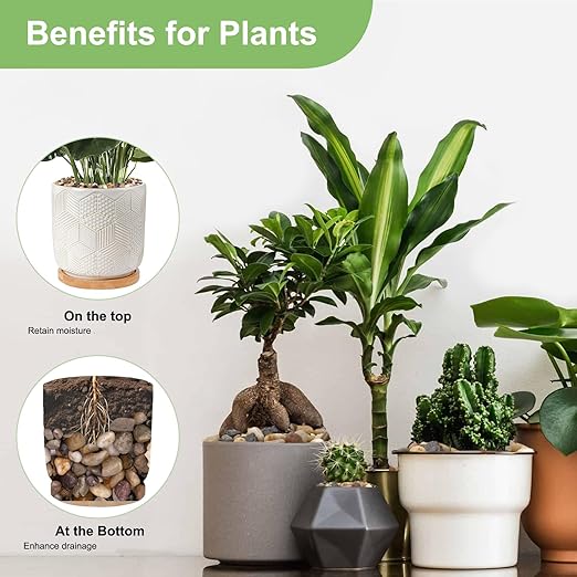 5 lbs Drainage Rocks for Potted Plants, 1/5 Inch Small Pebbles for Indoor Plants, Decorative Gravel for Vases, Bamboo, Succulent, Terrarium, Crafts, Cactus-CasaMuseHome