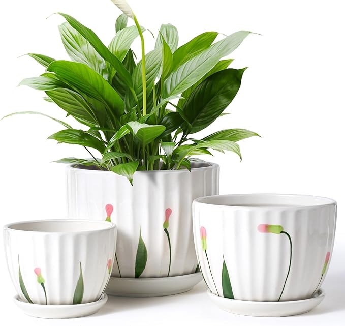 4/5/6 Inches Ceramic Plant Pots with Drainage Holes and Saucers, Round Flower Pots for Indoor Plant, Small Flower Planters Set of 3 (White Floral-Big Size)-CasaMuseHome