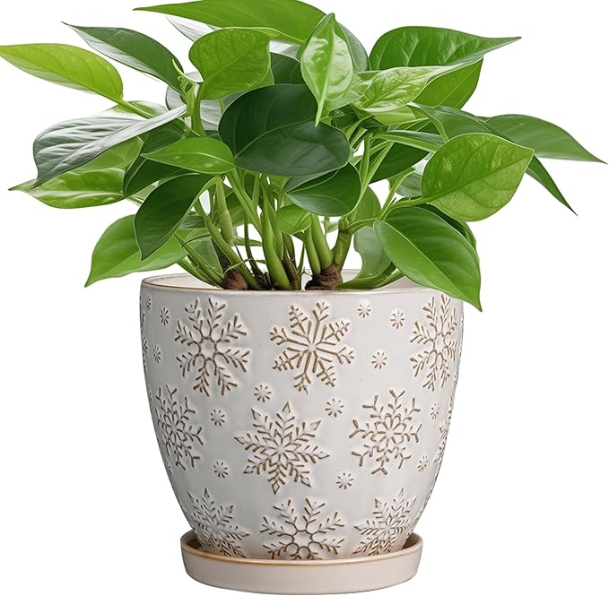 6.9 Inch Plant Pot with Drainage Hole and Saucer Ceramic Planter for Indoor Plant Flower Pot for Orchid Succulents Plants White-CasaMuseHome