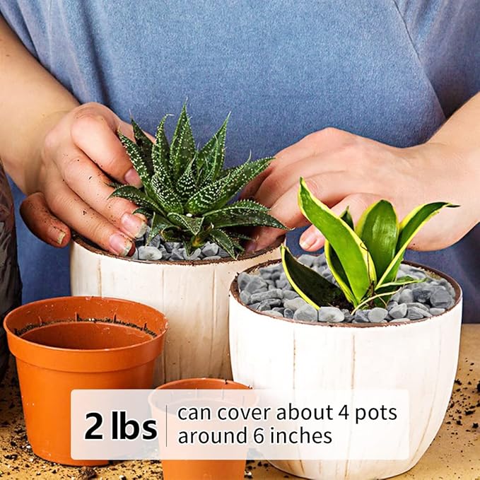 2LB Succulent and Cactus Gravel Pebbles, 1/5 Inch Natural Decorative Polished Stones, River Rocks for Plants, Vases, Aquariums, Terrarium and Outdoor Gardening,Grey-CasaMuseHome