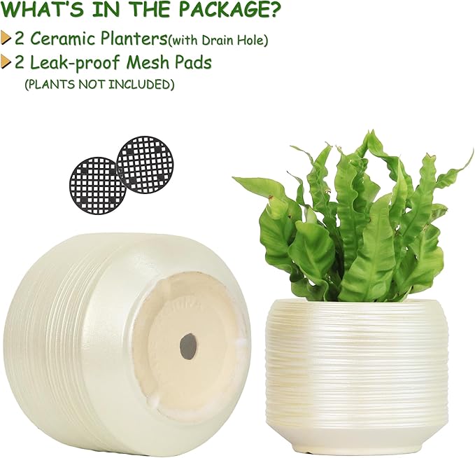 8 Inch + 6 Inch Ceramic Plant Pots Indoor with Drainage – Flower Pot Set, Decorative Indoor Planters for House Plants and Garden Use-CasaMuseHome