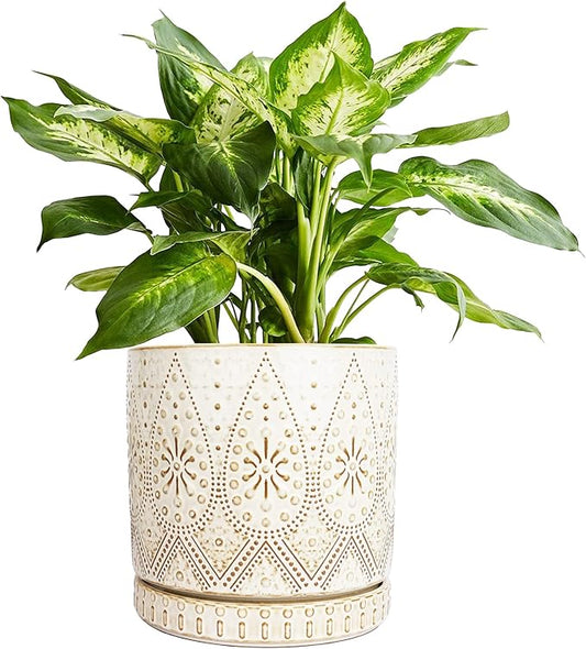 8 Inch Indoor Plant Pot with Drainage Holes and Saucers, Ceramic Planter for Plants, Succulent Orchid Flower Pots-CasaMuseHome