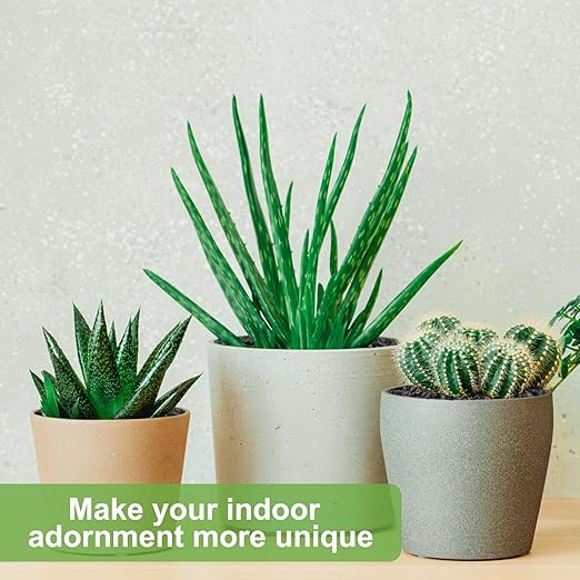 5 lbs Pebbles for Indoor Plants, Succulent, Cactus, 1/5 Inch Small Lava Rock for Plants Drainage, Natural Horticultural Volcanic Rock, Top-Dressing-CasaMuseHome