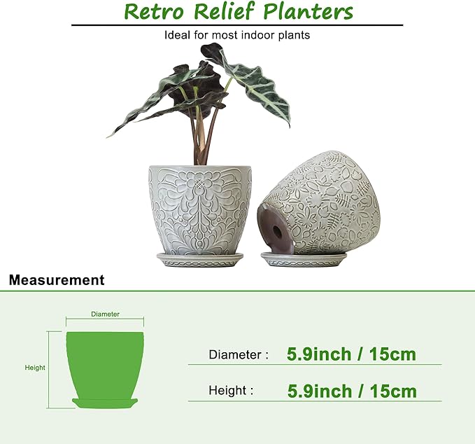 6 Inch Ceramic Planter Pots with Drainage Hole and Saucers for Indoor Plants, Garden Pots for Succulent, Orchid, and Flower - Set of 2-CasaMuseHome