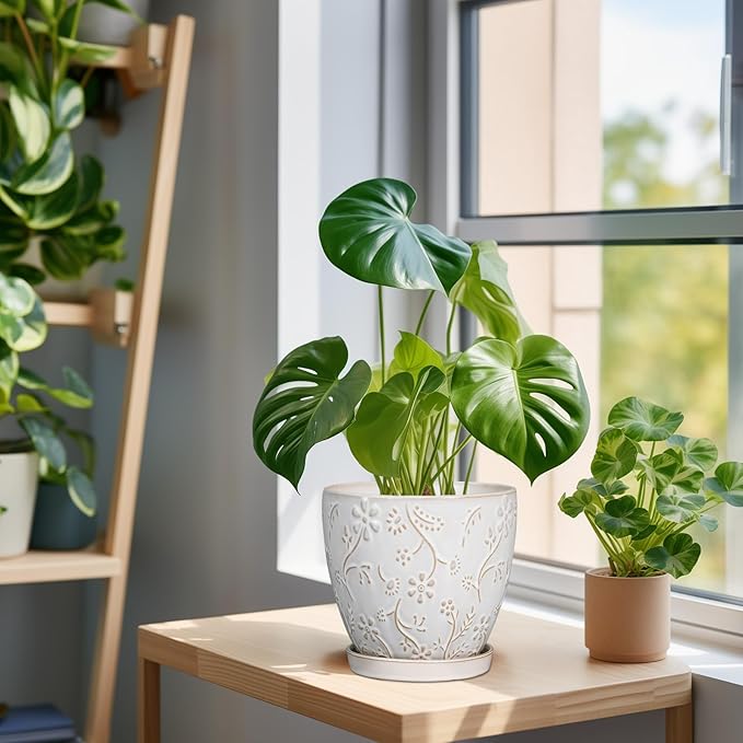 6 Inch Ceramic Plant Pot for Indoor Plants Outdoor Round Planter Flower Pot with Drainage Hole and Saucer for Home Garden Office Decor White-CasaMuseHome